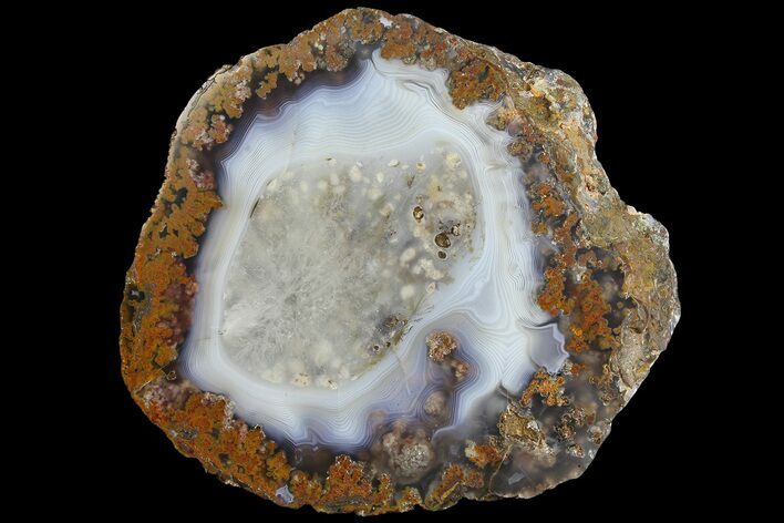 Polished Banded Agate with Wegeler Effect - Kerrouchen, Morocco #181292